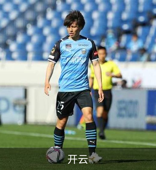 开云简介