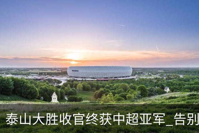 泰山大胜收官终获中超亚军 告别费莱尼致敬传奇